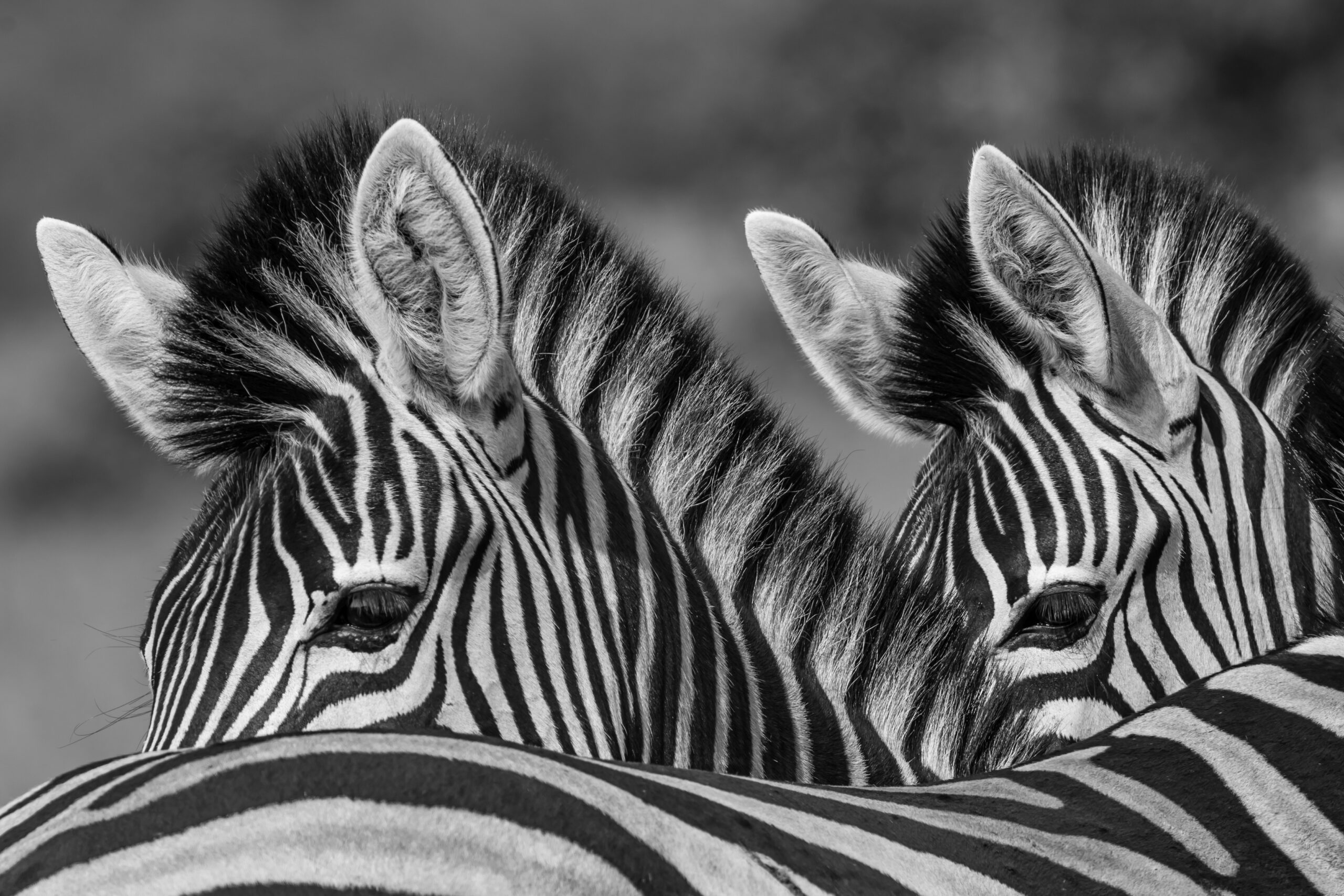 Black and white thinking
