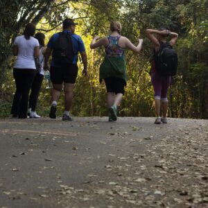 World Mental Health Day: Wellbeing Walk