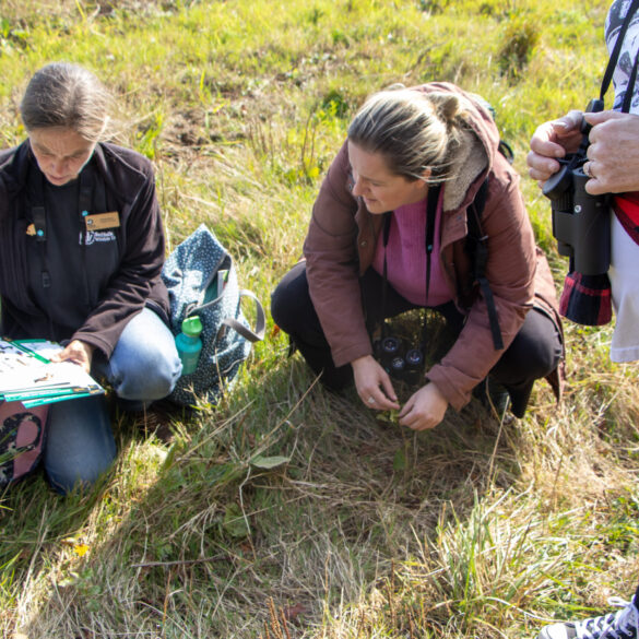 Suffolk Mind and Suffolk Wildlife Trust
